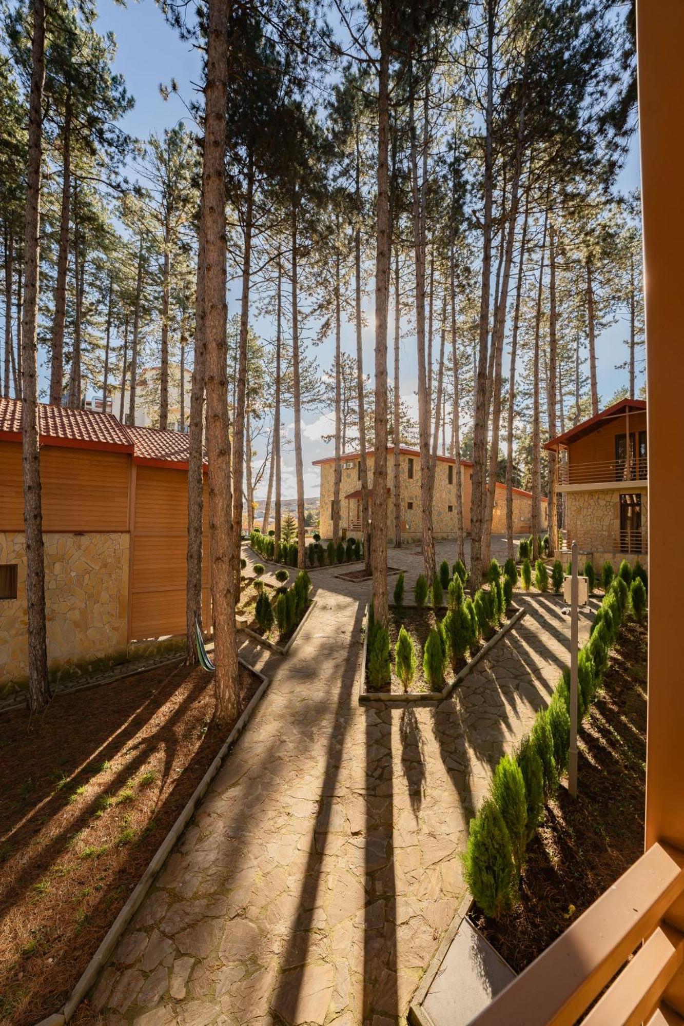 Zuzumbo Resort & Spa Telavi Exteriér fotografie