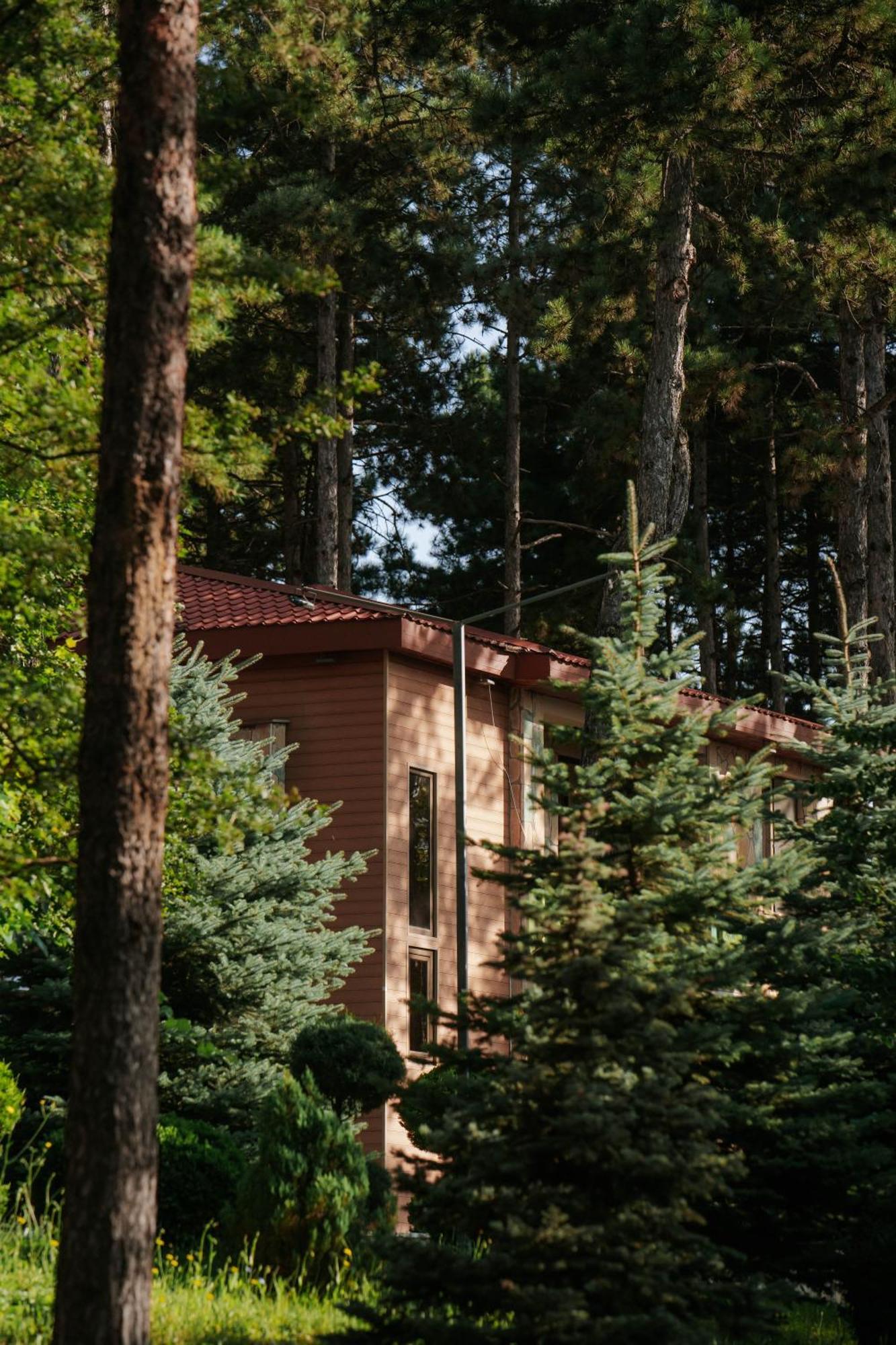 Zuzumbo Resort & Spa Telavi Exteriér fotografie